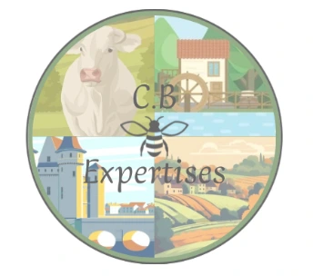 ConstanceBernierExpertises